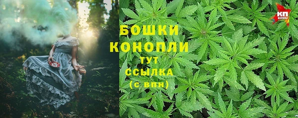 apvp Михайлов