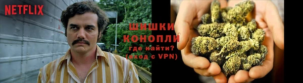 apvp Михайлов