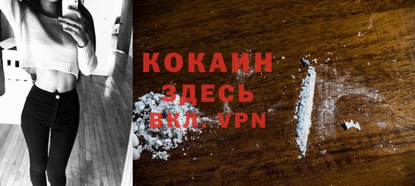 apvp Михайлов